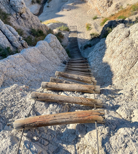 Blog - Badlands -pic 4- Log Ladder