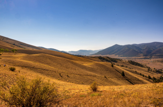 Blog- Rio Grand Pic 6_Landscape