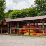 Deep Creek Tubing & CG